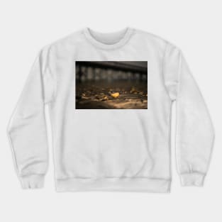 Seashell at Sea 3 Crewneck Sweatshirt